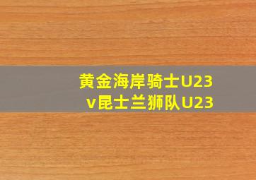 黄金海岸骑士U23 v昆士兰狮队U23